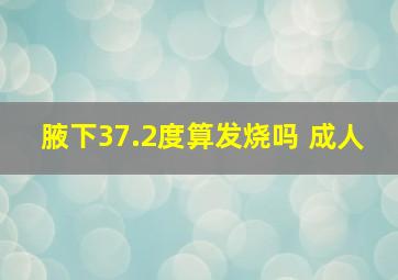 腋下37.2度算发烧吗 成人